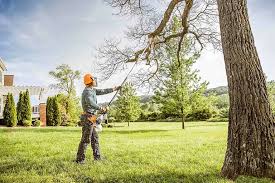  Rock Falls, IL Tree Services Pros